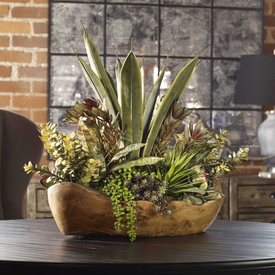 Uttermost Salar Succulents In Teak Bowl-Uttermost-UTTM-60119-Decorative Objects-2-France and Son