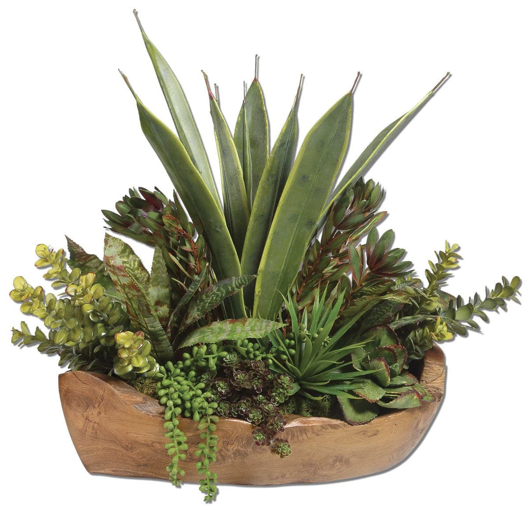 Uttermost Salar Succulents In Teak Bowl-Uttermost-UTTM-60119-Decorative Objects-1-France and Son