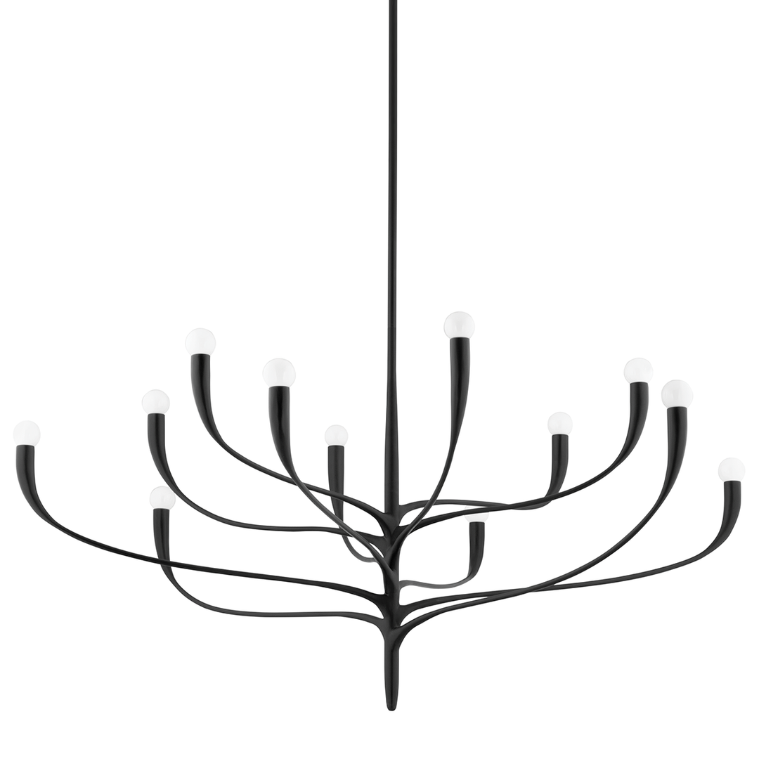 Labra 12 Light Chandelier-Hudson Valley-HVL-9612-AI-ChandeliersAged Iron-1-France and Son