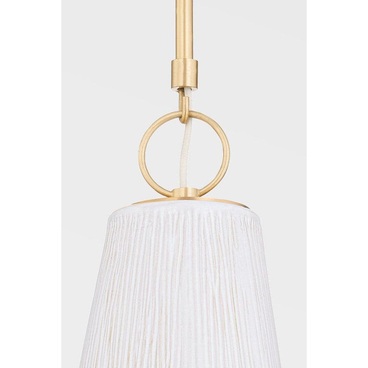 Dryden Light Pendant-Hudson Valley-HVL-1620-AGB/CSV-Pendants-2-France and Son