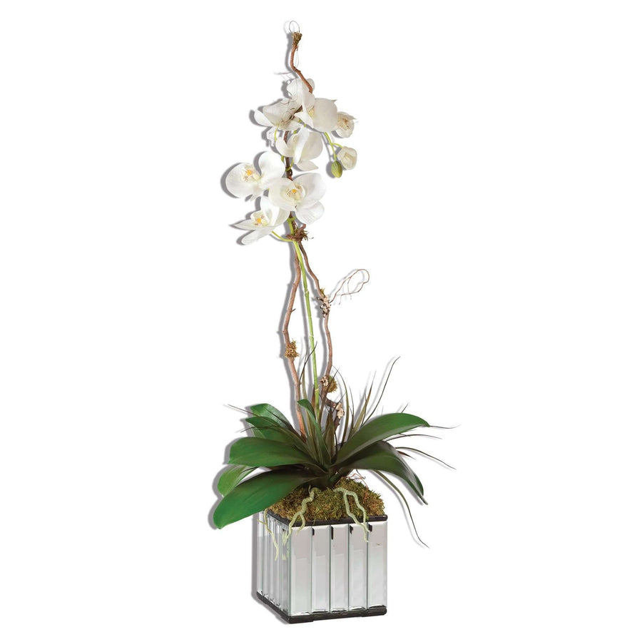 White Kaleama Orchids-Uttermost-UTTM-60122-Faux Plants-1-France and Son