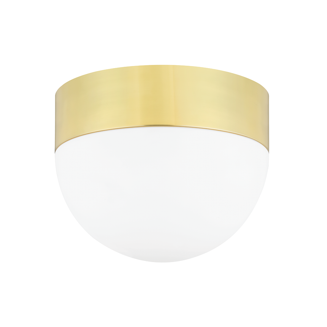 Adams Light Small Flush Mount-Hudson Valley-HVL-2114-AGB-Flush MountsAged Brass - 3 Light Large Flush Mount-4-France and Son