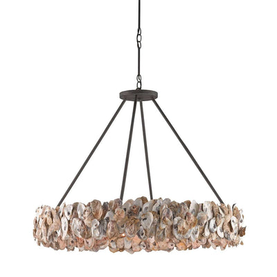 Oyster Chandelier-Currey-CURY-9672-Chandeliers-1-France and Son