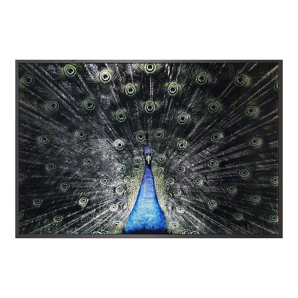 Brilliant Plumage - 72" x 48" - Charcoal Frame-Sunpan-SUNPAN-A0265-Wall Art-1-France and Son