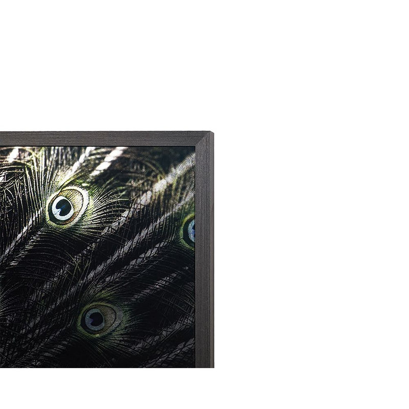 Brilliant Plumage - 72" x 48" - Charcoal Frame-Sunpan-SUNPAN-A0265-Wall Art-6-France and Son