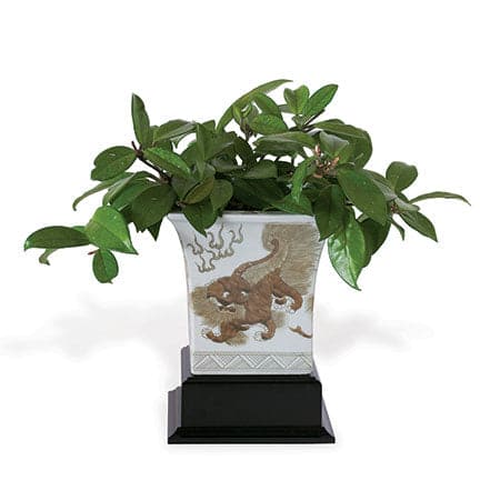 Chow Brown Square Planter (Includes Stand)-Port 68-PORT-ACBS-059-10-Planters-2-France and Son