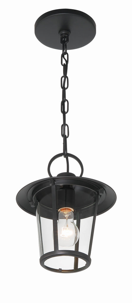 Andover 1 Light Matte Black Outdoor Chandelier-Crystorama Lighting Company-CRYSTO-AND-9203-CL-MK-Outdoor Chandeliers-3-France and Son