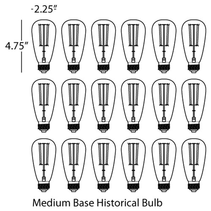 Bulbs Accessory