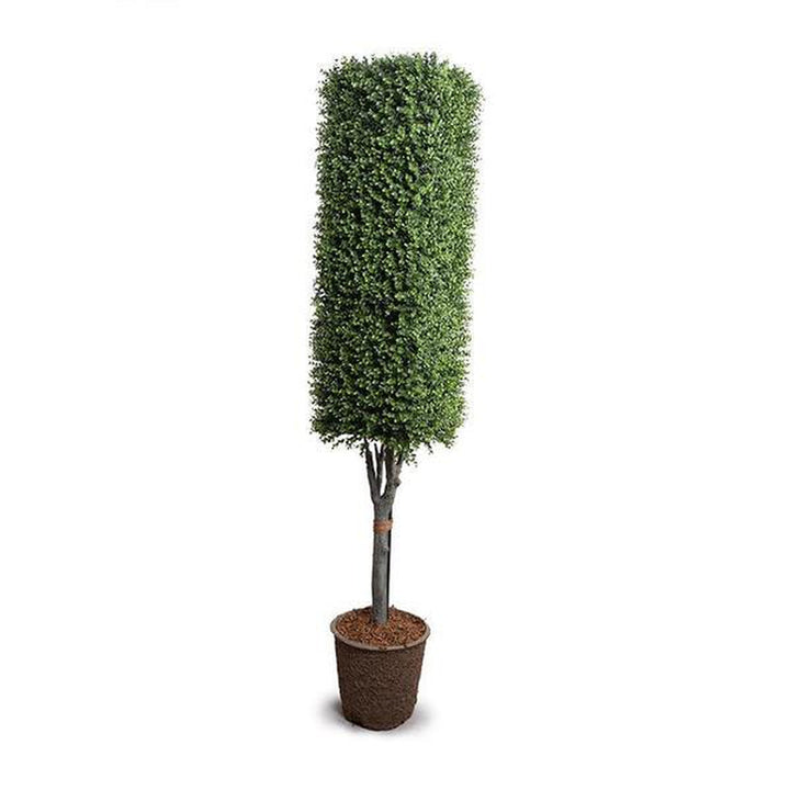 Outdoor Boxwood Column Topiary-New Growth Designs-NGD-E14069GR-Decor-3-France and Son