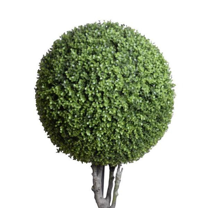 UV Stable Single Boxwood Topiary-New Growth Designs-NGD-E14013GR-Decor-2-France and Son