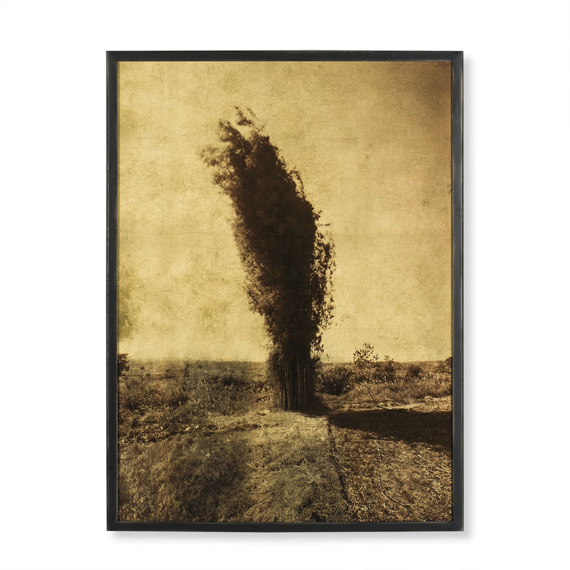 Bamboo in the Breeze-Sonder-FIA6288-Wall Art-1-France and Son