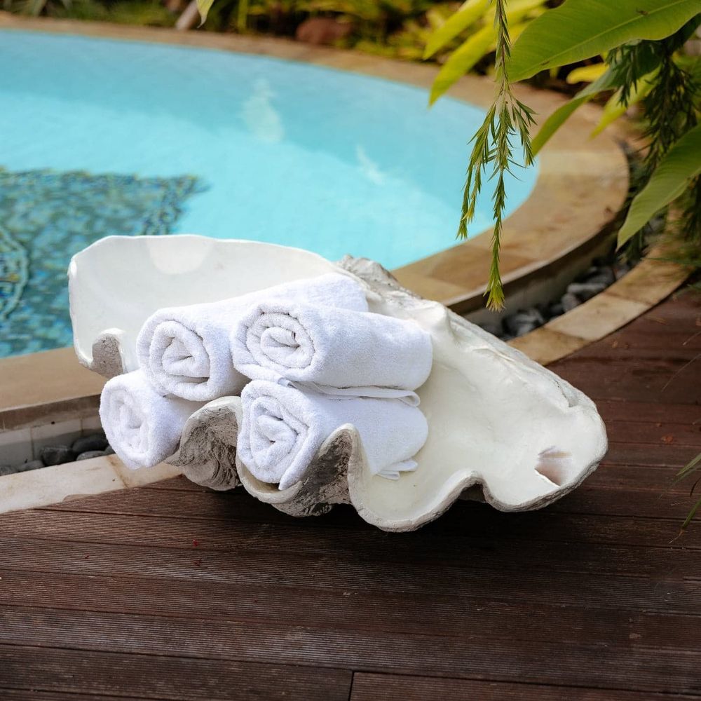 Giant Clam Shell Sculpture – France & Son