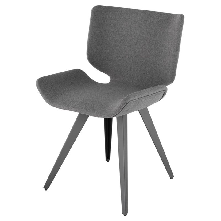 Astra Dining Chair-Nuevo-NUEVO-HGNE129-Dining ChairsShale Grey seat & titanium steel legs-32-France and Son