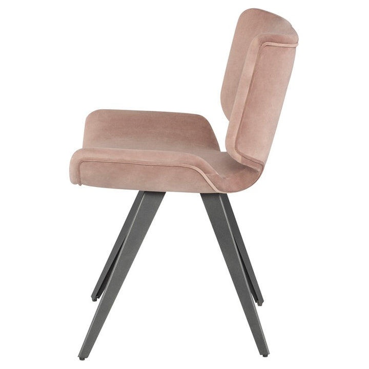 Astra Dining Chair-Nuevo-NUEVO-HGNE100-Dining ChairsShadow Grey velour seat & titanium steel legs-44-France and Son