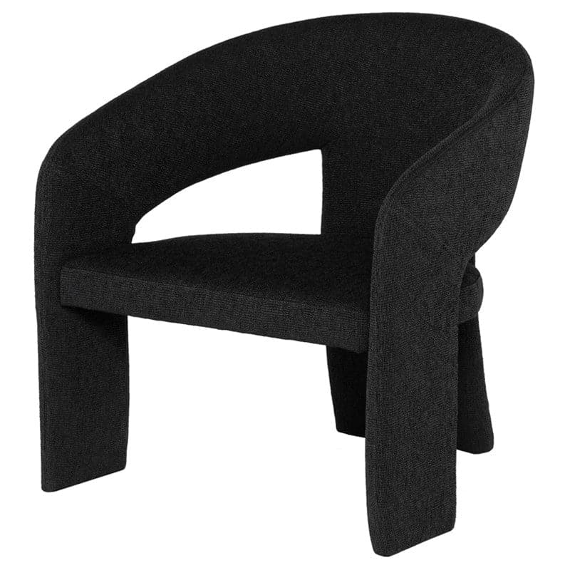 Anise Occasional Chair-Nuevo-NUEVO-HGSN239-Lounge ChairsActivated Charcoal-5-France and Son