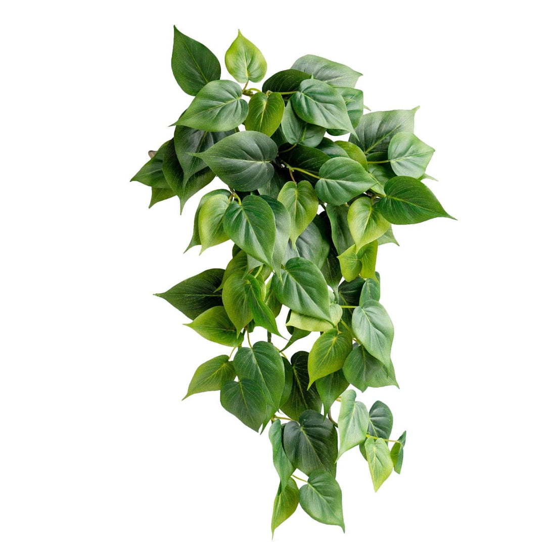 Philodendron 23"L Green Bush - set of 12-Gold Leaf Design Group-GOLDL-PB2021-20GN-Decor-3-France and Son