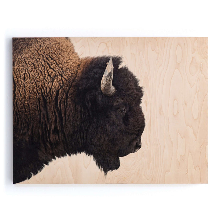 American Bison - Maple Box 60"x40"-Four Hands-FH-ULOF-3620-6040-Wall Art-1-France and Son