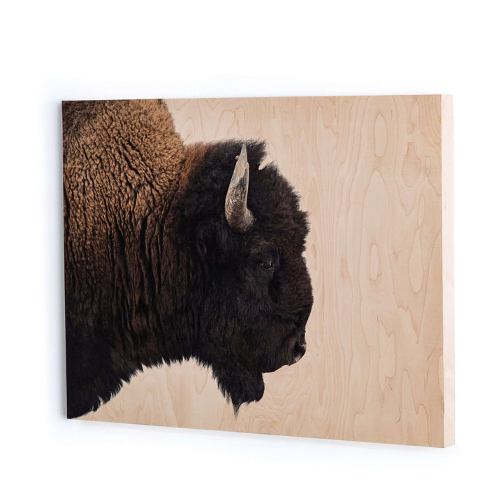American Bison - Maple Box 60"x40"-Four Hands-FH-ULOF-3620-6040-Wall Art-2-France and Son