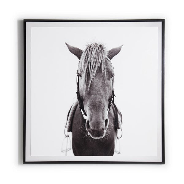 Horse-Photo,black Mpl 48"x48"-Four Hands-FH-ULOF-381610-4040-Wall Art40"X40"-1-France and Son