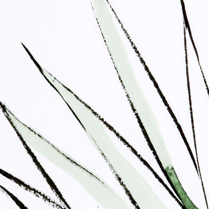 Agave Crop By Jess Engle-Four Hands-FH-ULOF-554-Wall Art-4-France and Son