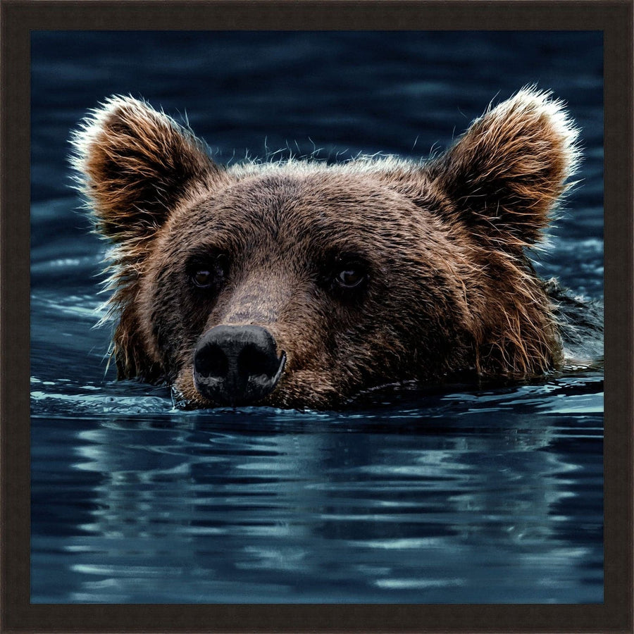 Swimming Brown Bear-Wendover-WEND-WPH1848-Wall Art-1-France and Son