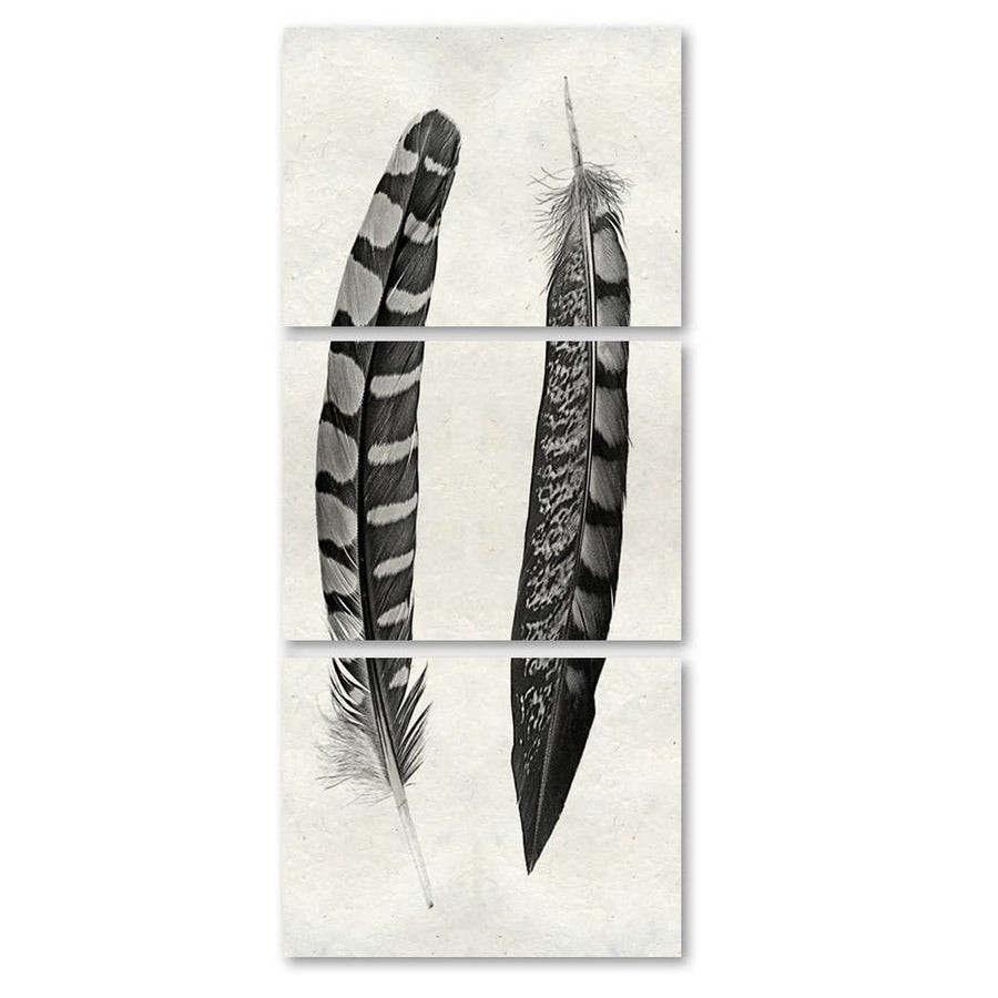 Feather Curves Trilogy Print - BARLOGA-FeatherCurvesTrilogyPrint