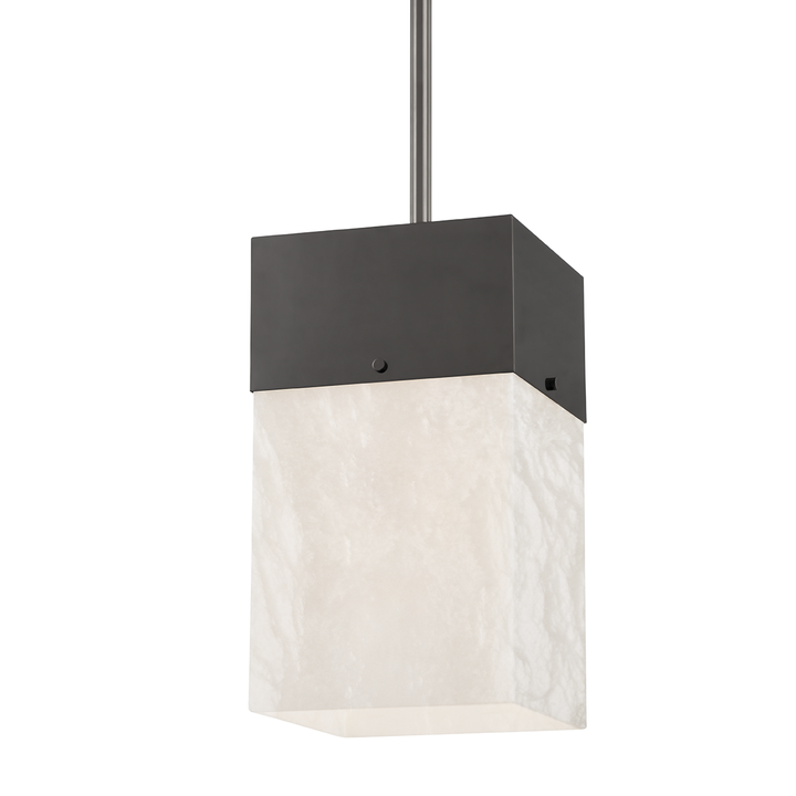 Times Square 1 Light Pendant-Hudson Valley-HVL-3810-BLNK-PendantsBlack Nickel-2-France and Son