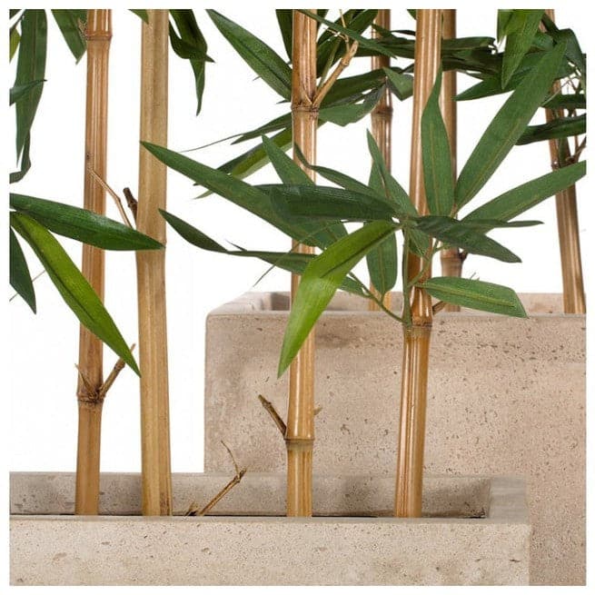 Bamboo Tree Poles w/Foliage, Unpotted 7"-Gold Leaf Design Group-GOLDL-50443-Decorative Objects-3-France and Son