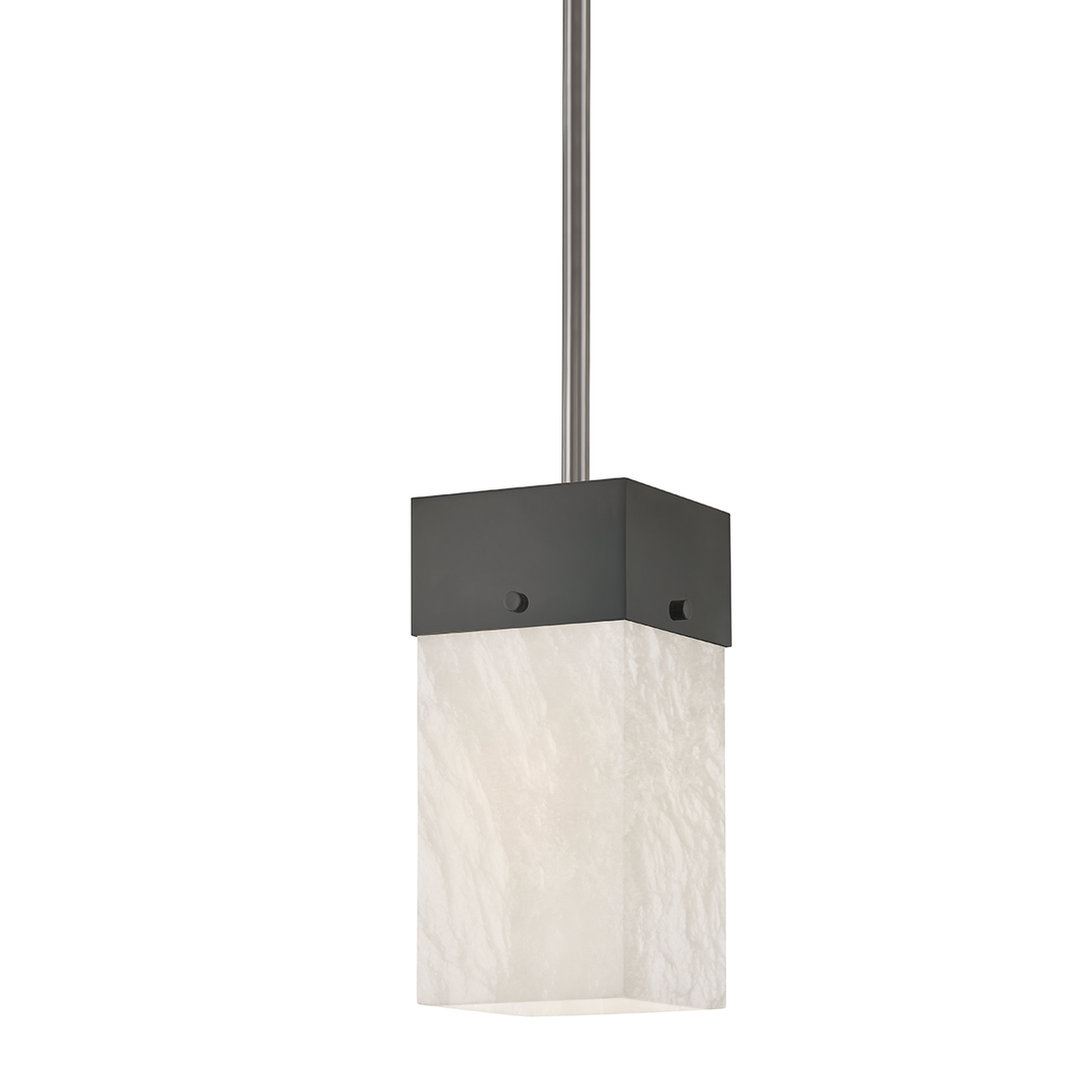 Times Square - 1 Light Pendant-Hudson Valley-HVL-3806-BLNK-PendantsBlack Nickel-3-France and Son