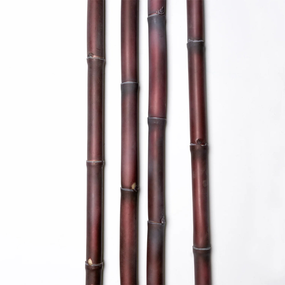 Sugar Cane Pole, Purple - Set of 6-Gold Leaf Design Group-GOLDL-PB9400-Decorative Objects-2-France and Son