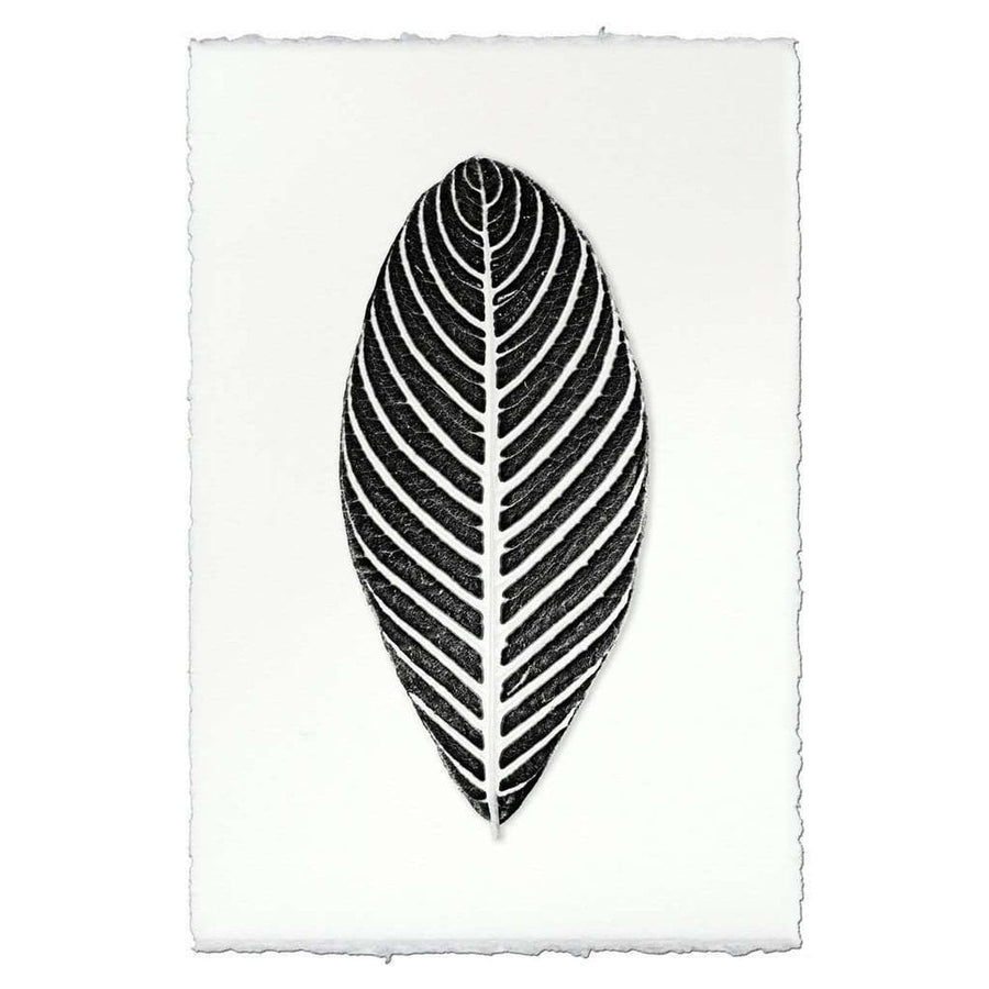 BARLOGA-LinearLeafPrint  - Parent  - linear leaf print 