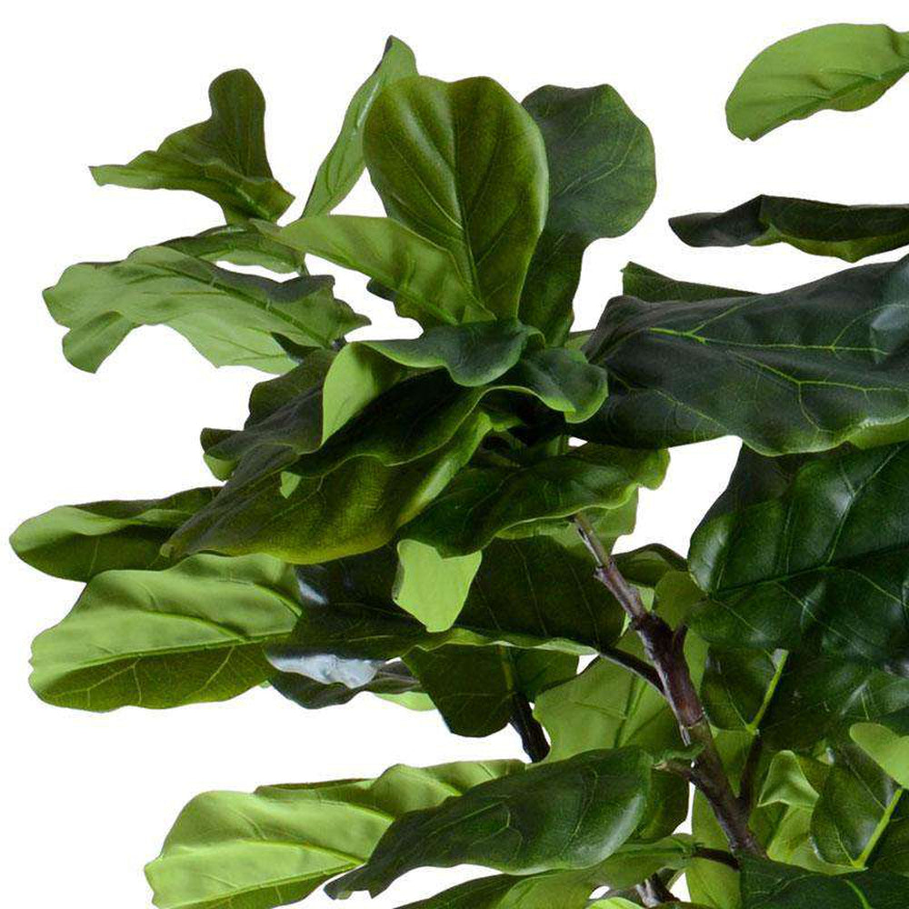 9' Fiddle-Leaf Fig Tree_1