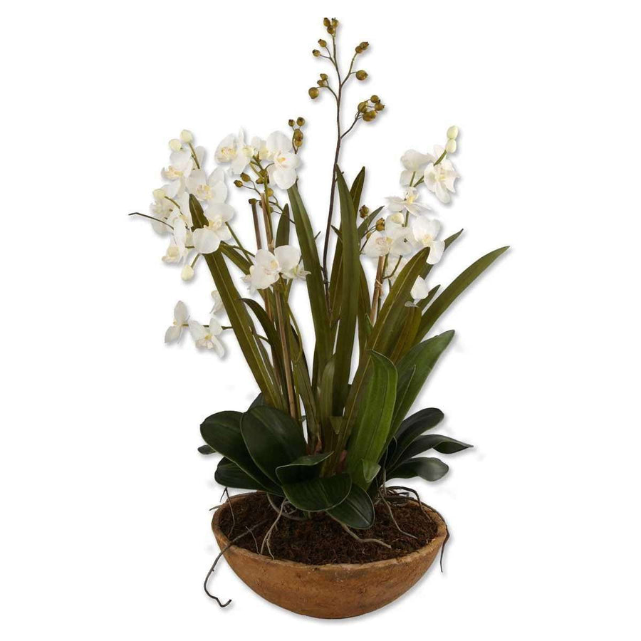Moth Orchid Planter-Uttermost-UTTM-60039-Faux Plants-1-France and Son