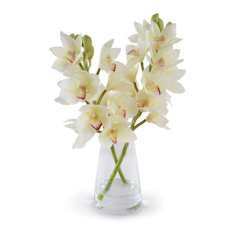 White Cymbidium Orchid Arrangement