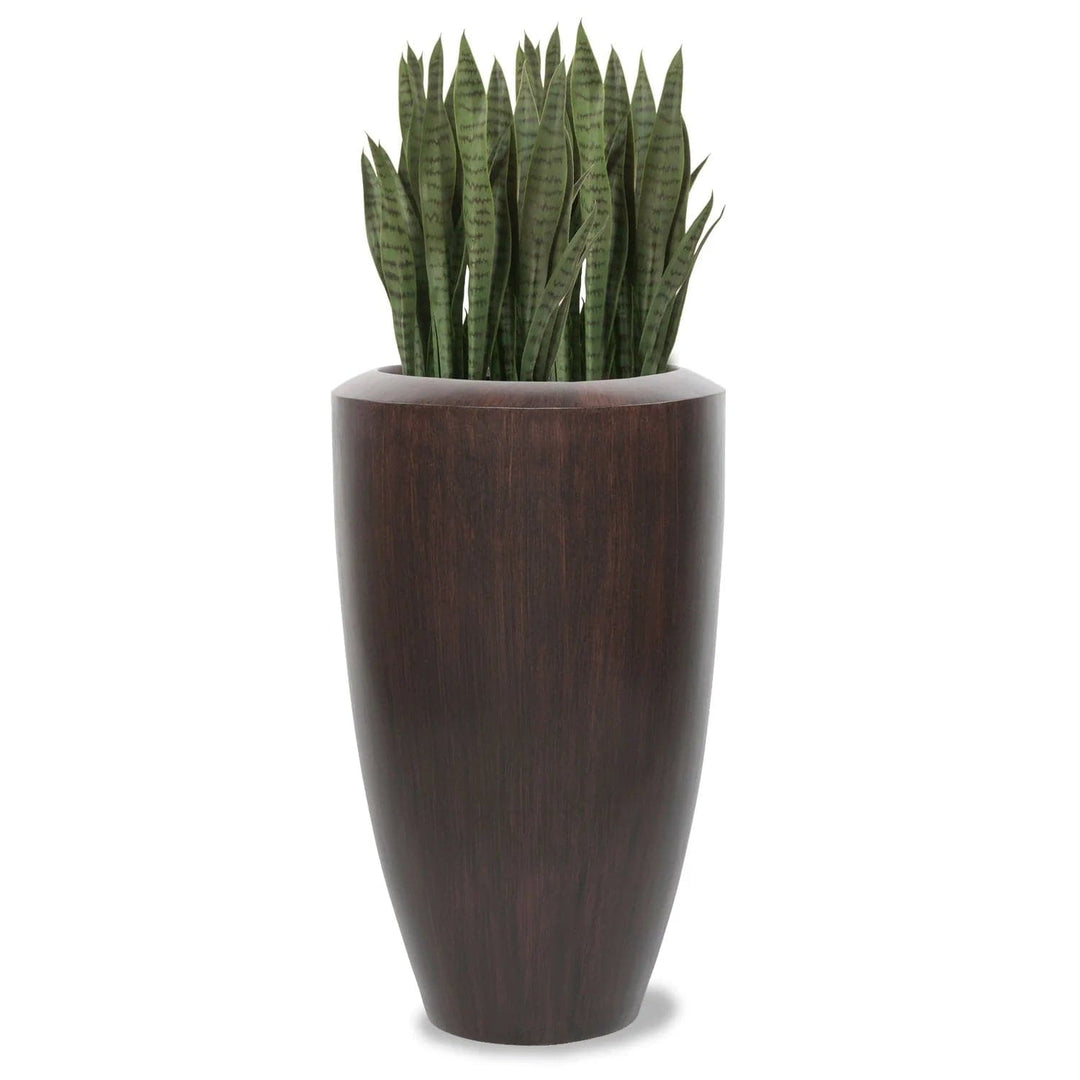 Sansevieria Barrel Plant-Gold Leaf Design Group-GOLDL-HY1500-LG-PlantersLG-5-France and Son