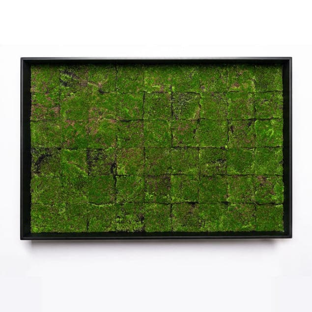 Green Wall, New Moss Patch-Gold Leaf Design Group-GOLDL-HY9531-37-Wall Decor-1-France and Son