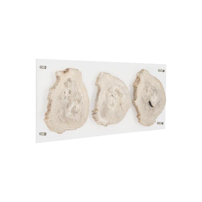 Floating Petrified Slice Wall Art-Phillips Collection-PHIL-ID97236-Wall ArtSingle-14-France and Son