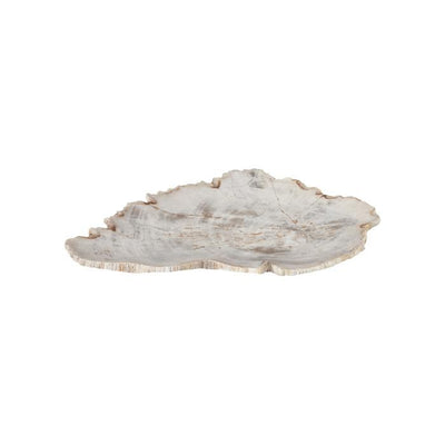Petrified Wood Plate-Phillips Collection-PHIL-ID66471-DecorSmall-3-France and Son