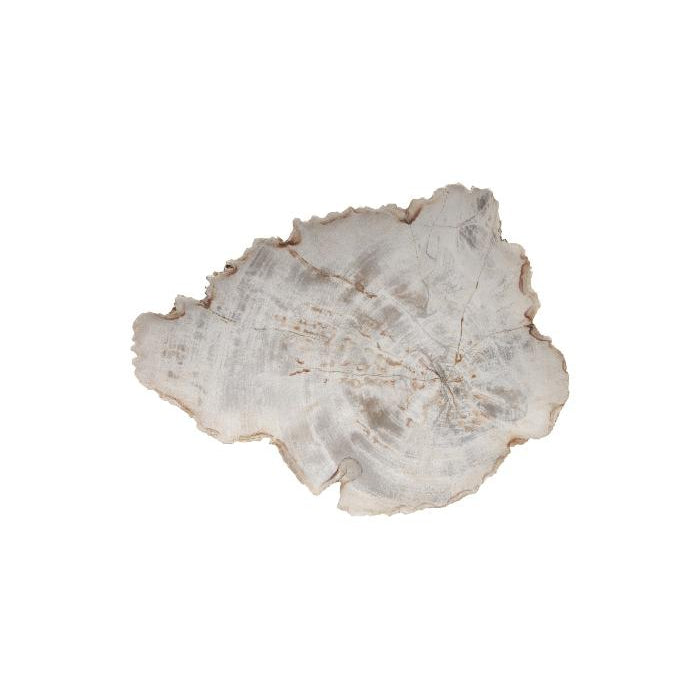 Petrified Wood Plate-Phillips Collection-PHIL-ID66471-DecorSmall-5-France and Son