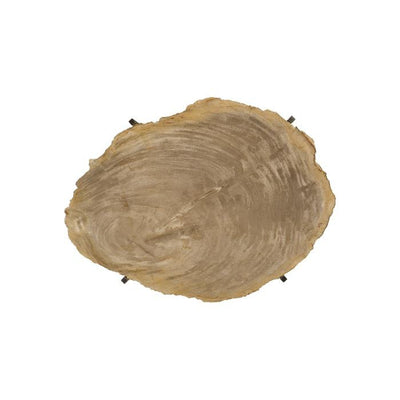 Petrified Wood Tray-Phillips Collection-PHIL-ID88055-Decor-2-France and Son