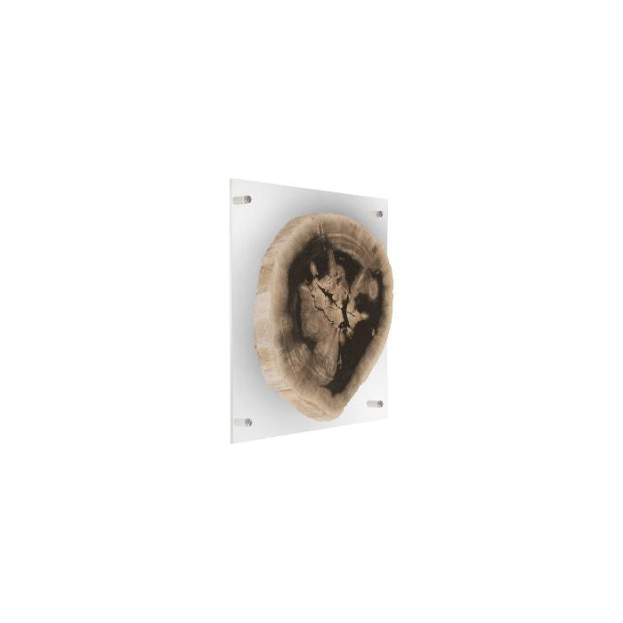 Floating Petrified Slice Wall Art-Phillips Collection-PHIL-ID97236-Wall ArtSingle-2-France and Son