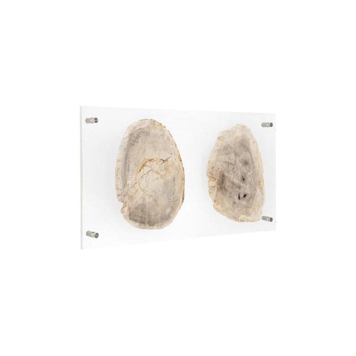 Floating Petrified Slice Wall Art-Phillips Collection-PHIL-ID97236-Wall ArtSingle-6-France and Son