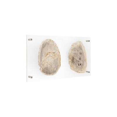 Floating Petrified Slice Wall Art-Phillips Collection-PHIL-ID97236-Wall ArtSingle-6-France and Son