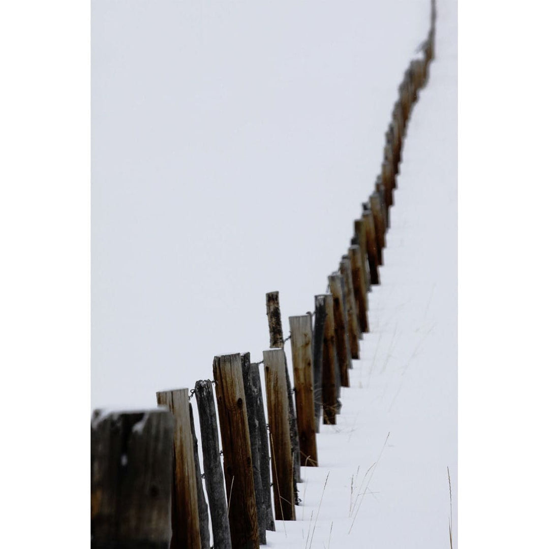 Along The Fence-Wendover-WEND-LA4136-Wall Art-1-France and Son