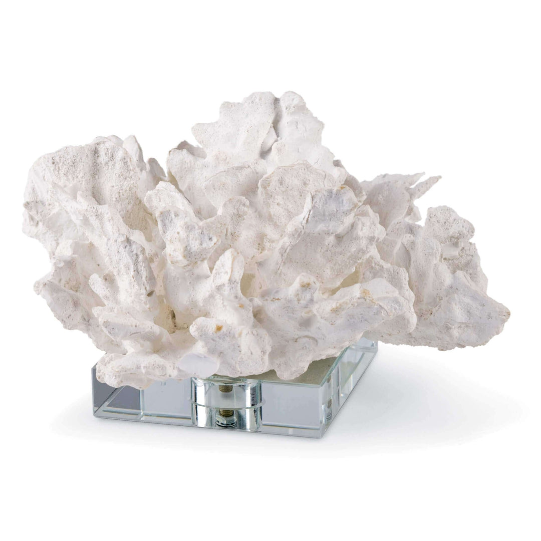 Flower Coral On Crystal Base - White