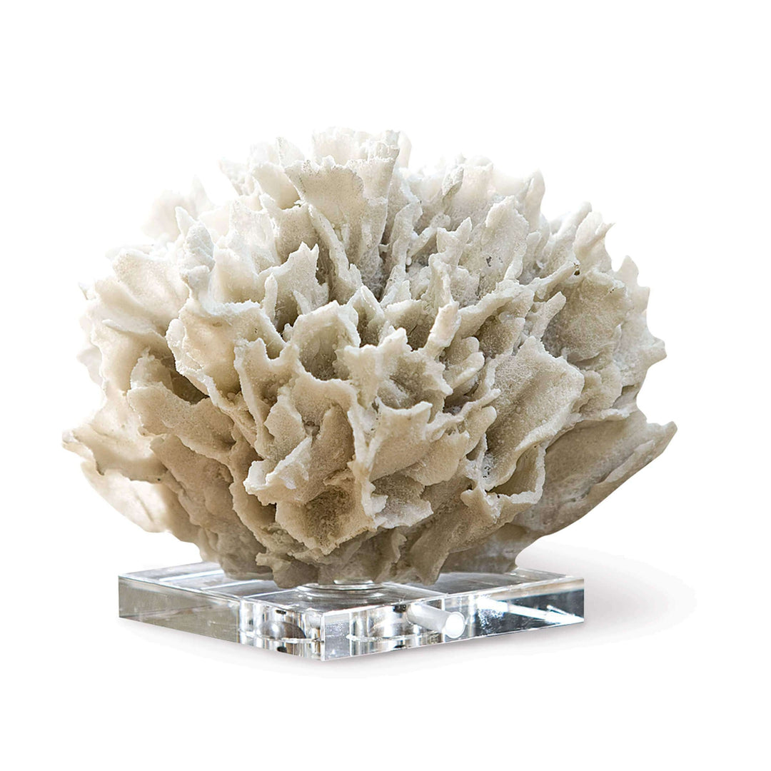 Ribbon Coral - White
