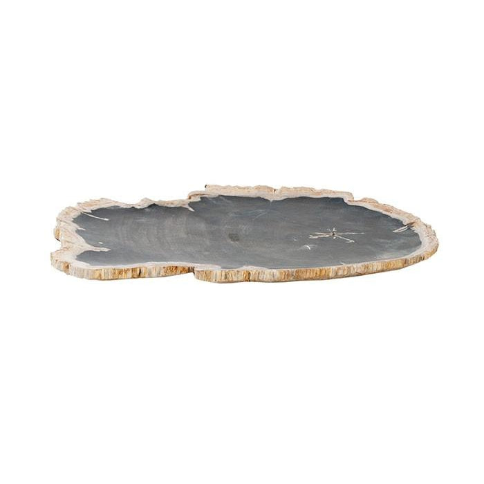 Petrified Wood Plate-Phillips Collection-PHIL-ID66471-DecorSmall-1-France and Son