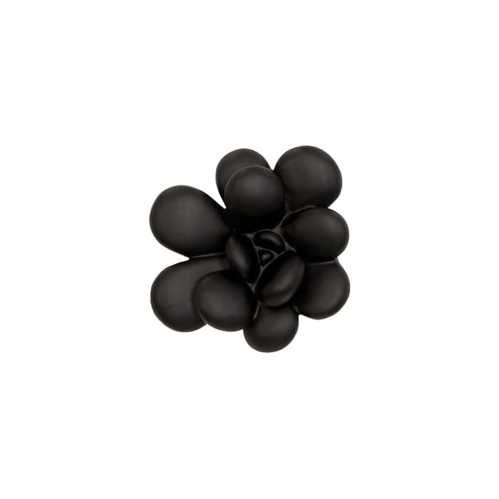 Succulent Wall Art-Phillips Collection-PHIL-PH111558-Wall DecorSmooth Black-Oviferum-14-France and Son