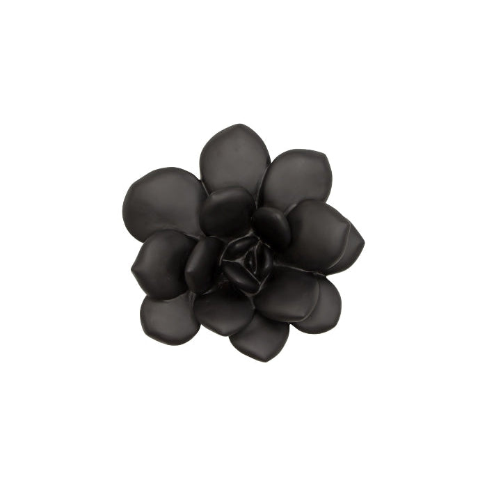 Succulent Wall Art-Phillips Collection-PHIL-PH111559-Wall DecorSmooth Black-Laui-15-France and Son