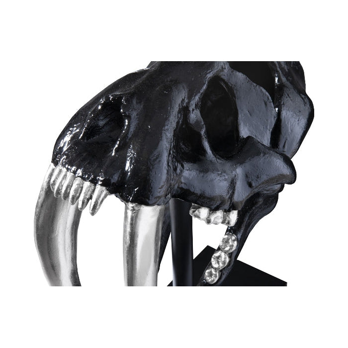 Saber Tooth Tiger Skull-Phillips Collection-PHIL-PH56705-DecorBlack-4-France and Son